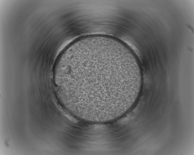 X0000097510933200803142038