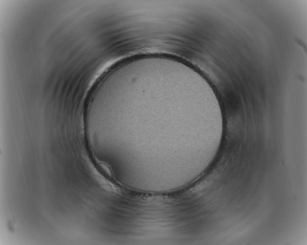 X0000097510934200803142038