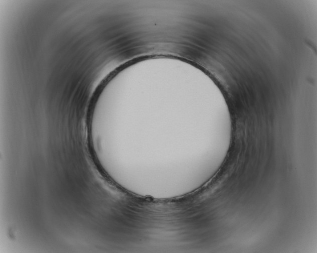 X0000097510936200803142038