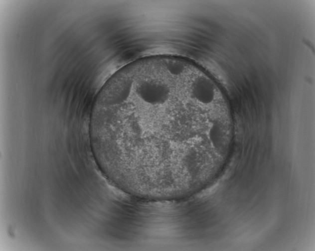 X0000097510937200803142038