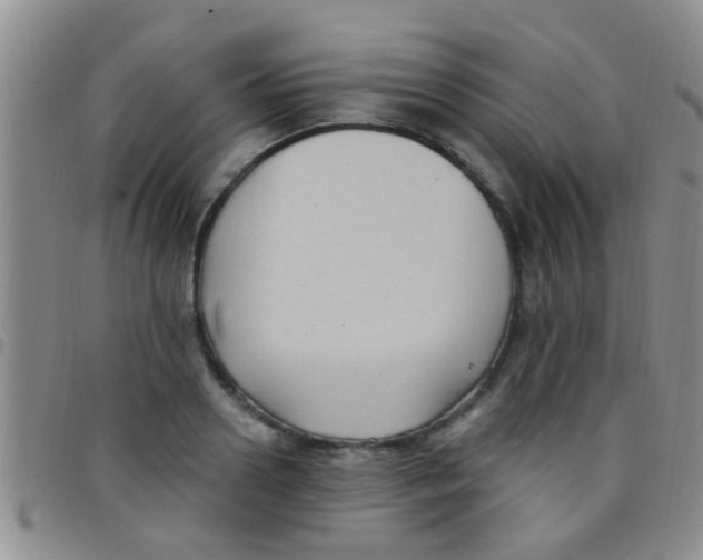 X0000097510938200803142038