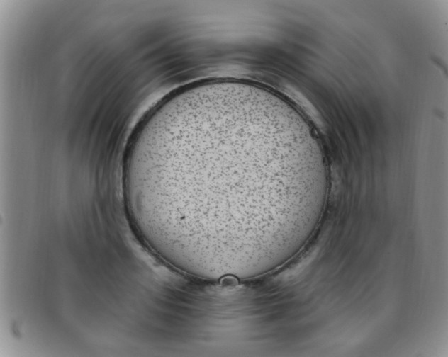 X0000097510939200803142038