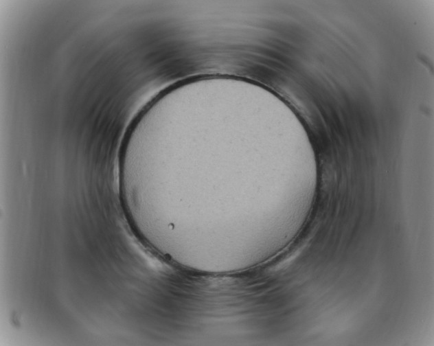 X0000097510940200803142038