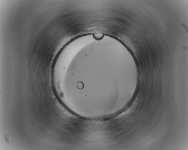 X0000097510941200803142038