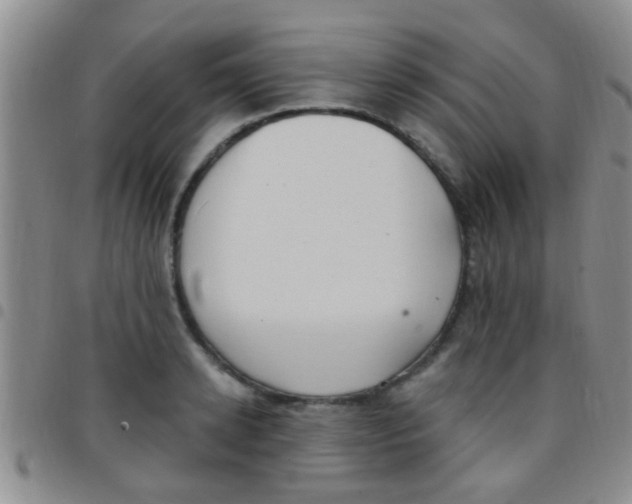 X0000097510942200803142038