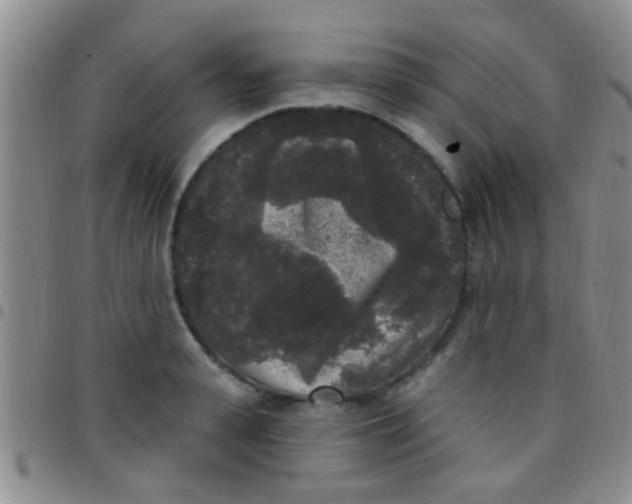 X0000097510943200803142038