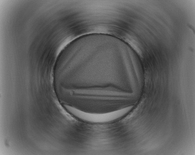 X0000097510944200803142038