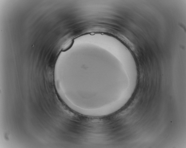 X0000097510945200803142038