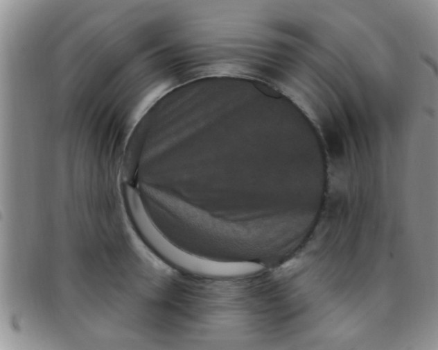 X0000097510946200803142038