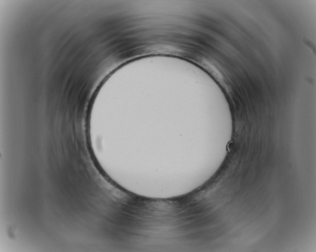 X0000097510947200803142038