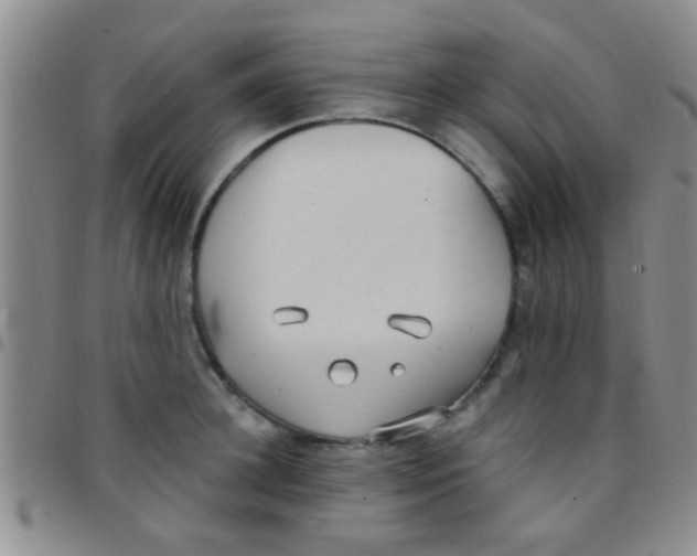 X0000097510948200803142038