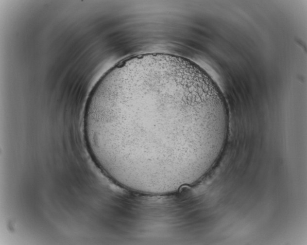 X0000097510949200803142038