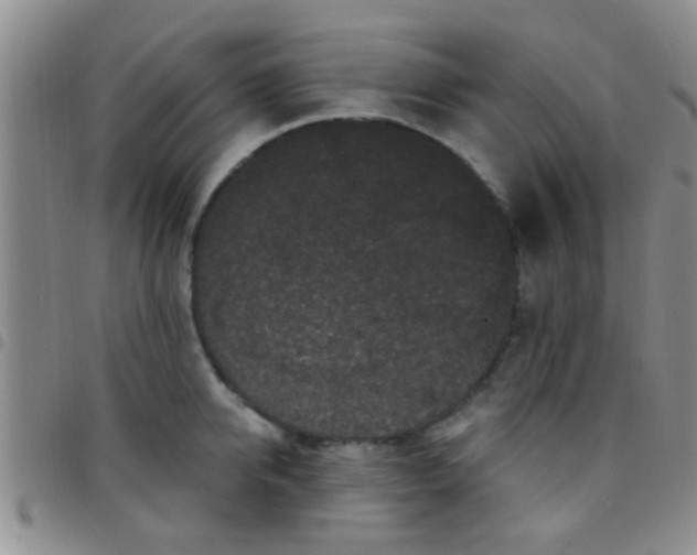 X0000097510950200803142038