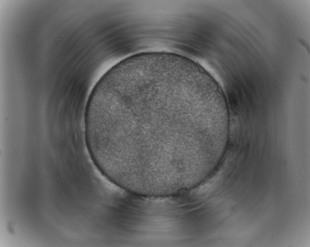 X0000097510951200803142038