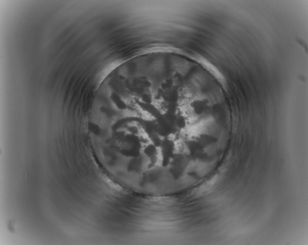 X0000097510953200803142038