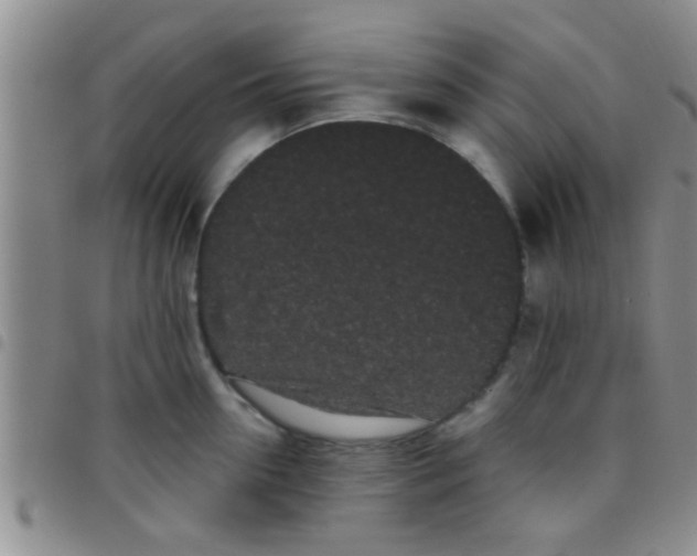 X0000097510954200803142038