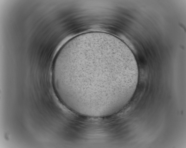 X0000097510955200803142038