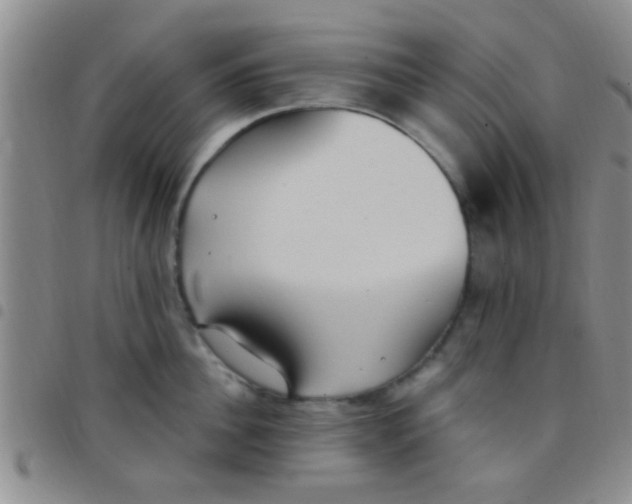 X0000097510956200803142038