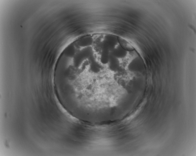 X0000097510957200803142038