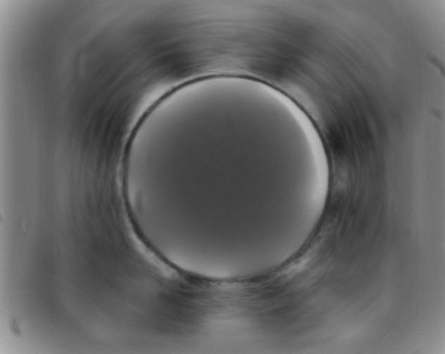 X0000097510958200803142038