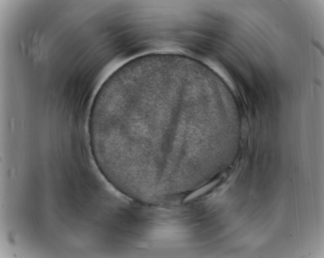 X0000097510959200803142038