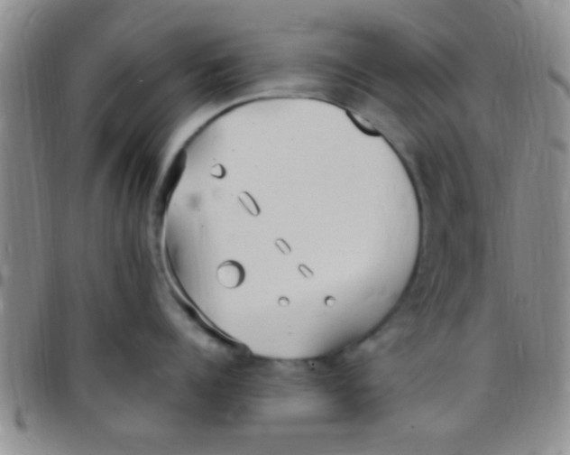 X0000097510960200803142038