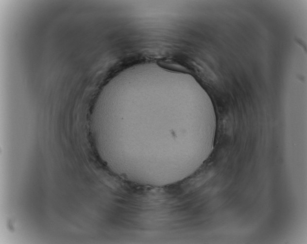 X0000097510961200803142037