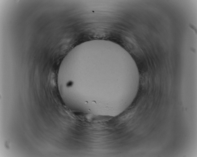 X0000097510962200803142037