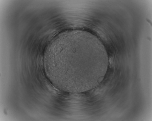 X0000097510963200803142037