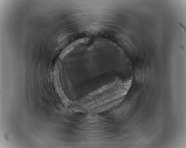 X0000097510964200803142037