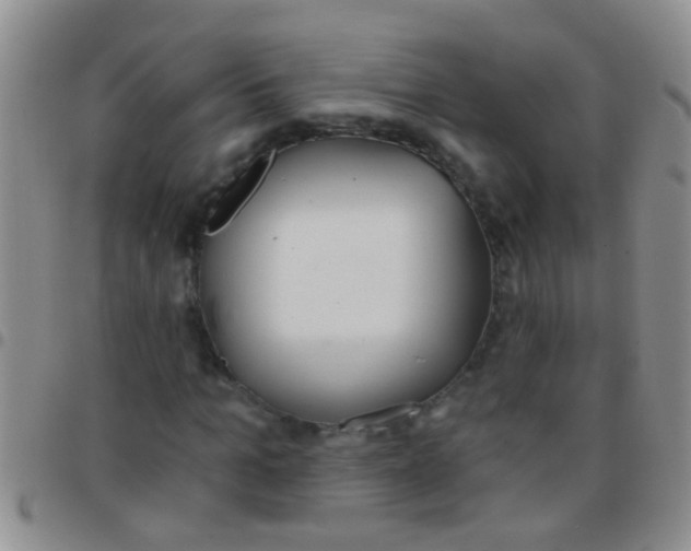 X0000097510965200803142037