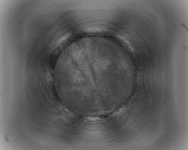 X0000097510966200803142037