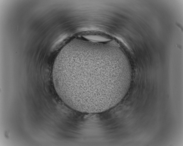 X0000097510967200803142037