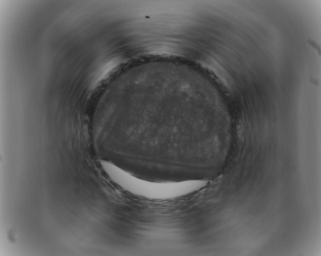 X0000097510968200803142037