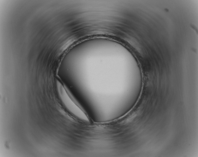 X0000097510969200803142037