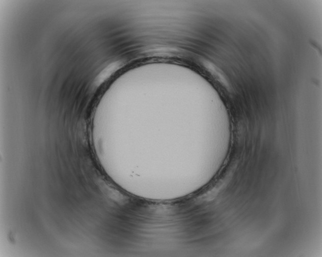 X0000097510970200803142037