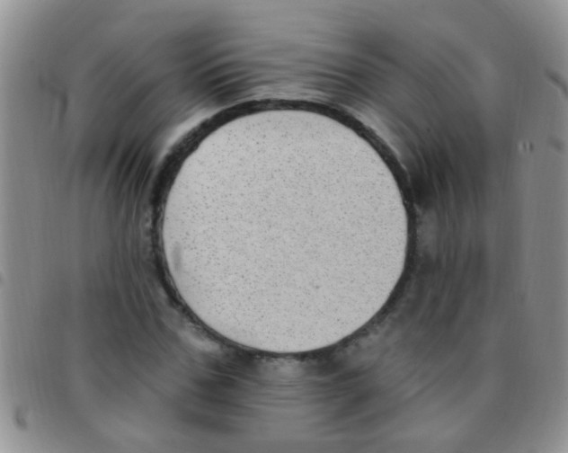 X0000097510971200803142037