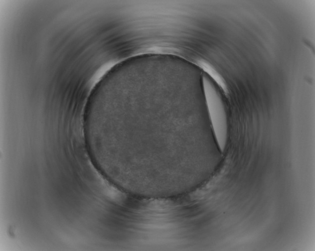 X0000097510972200803142037