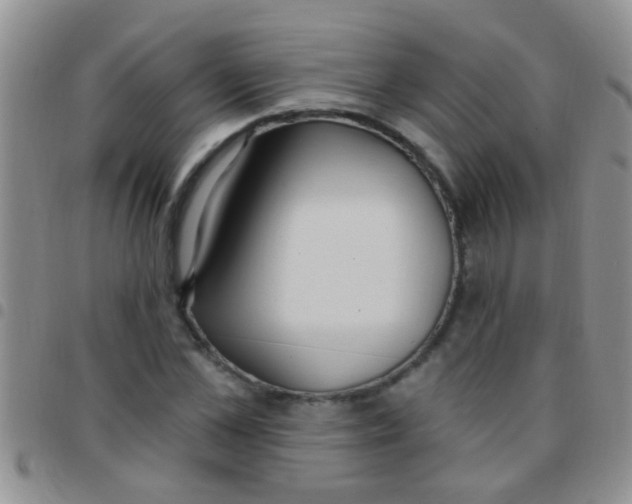 X0000097510973200803142037