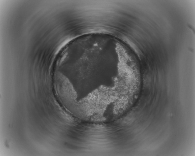 X0000097510975200803142037