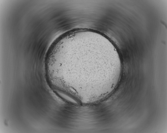 X0000097510976200803142037