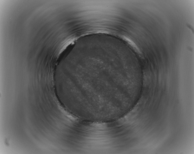 X0000097510977200803142037