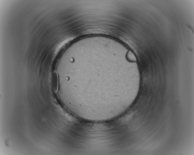 X0000097510979200803142037