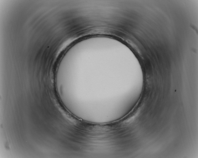 X0000097510981200803142037