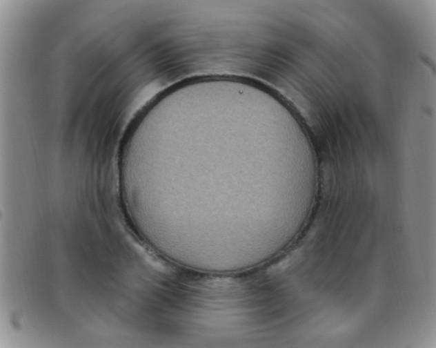 X0000097510982200803142037