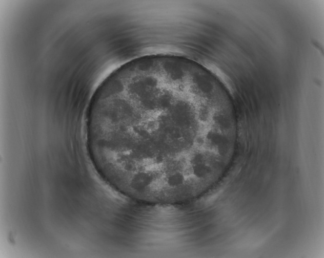 X0000097510983200803142037