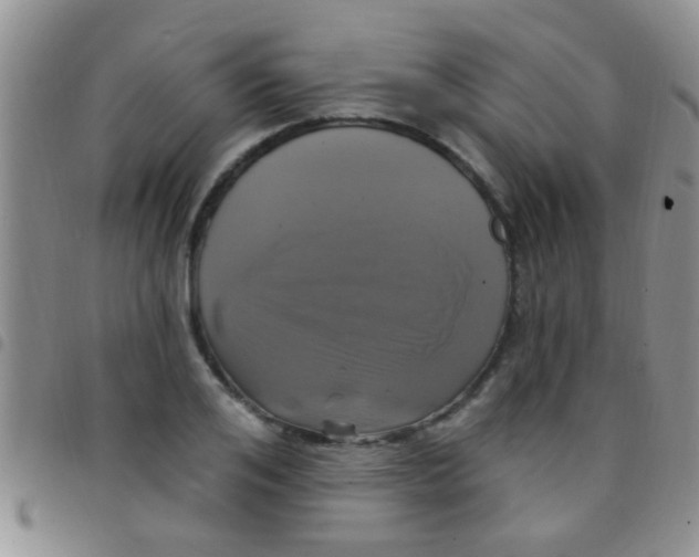 X0000097510984200803142037