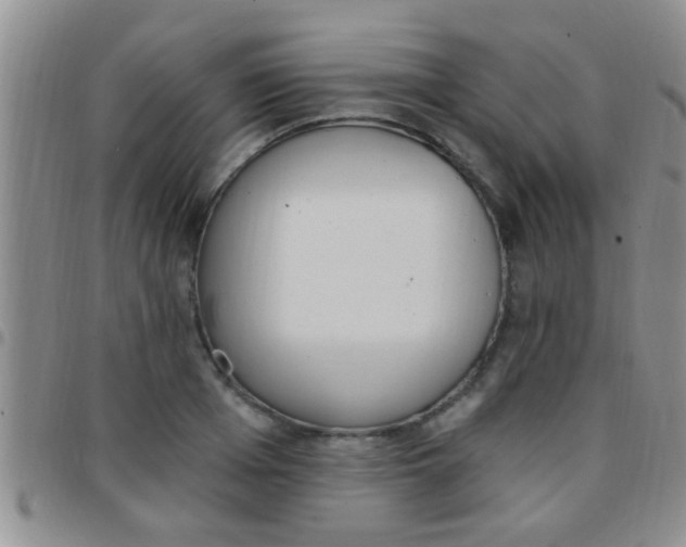 X0000097510985200803142037