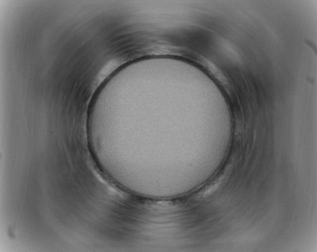 X0000097510986200803142037