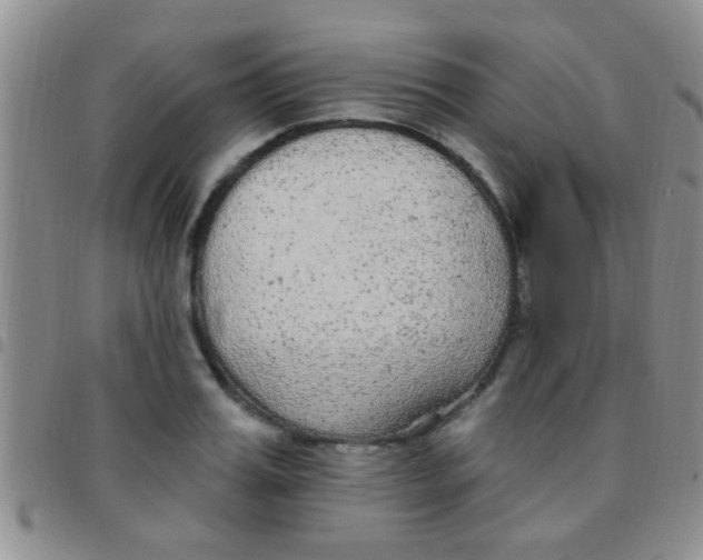 X0000097510987200803142037